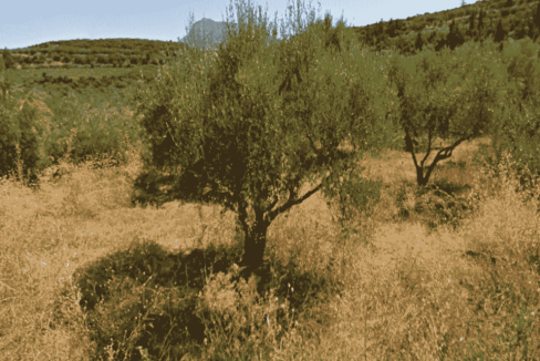 42010-01