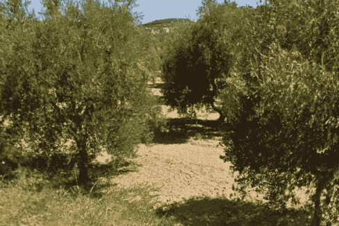 42010-03