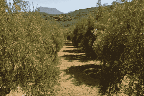 42010-04