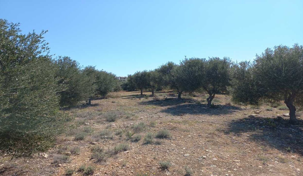 42011-03