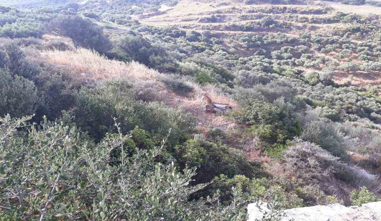42013-03